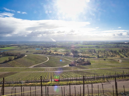 20220207142248-087b8c57